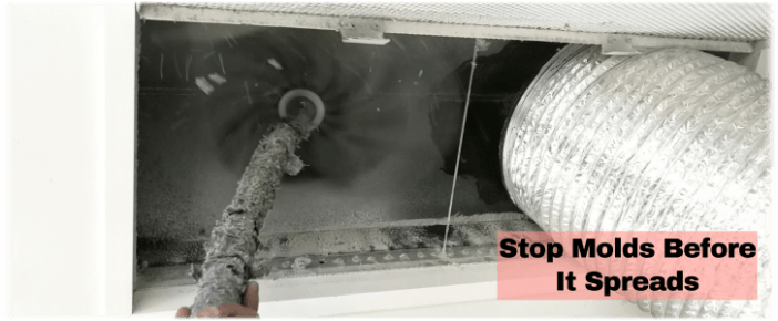 Air Duct Mold Removal in Rockville