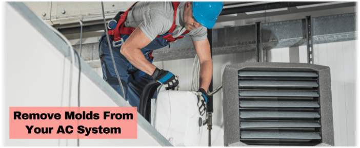 HVAC Mold Removal Rockville